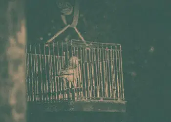 exhibit of canary in coal mine