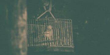 exhibit of canary in coal mine
