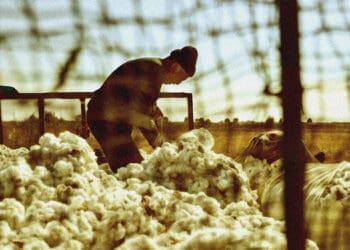 forced labor