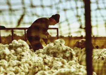 forced labor