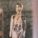 human body model in doctor office