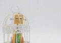 A robot locked in cage.