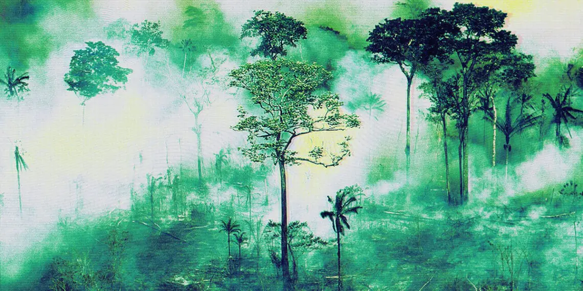 climate risk forest fire