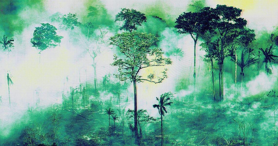 climate risk forest fire