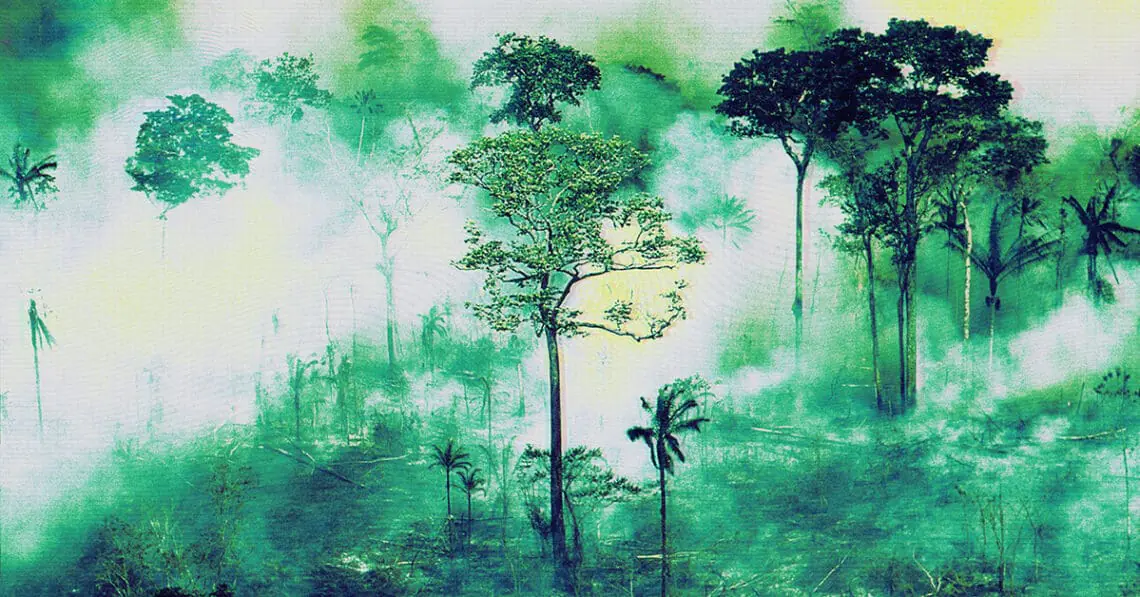 climate risk forest fire