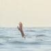 person reaching for help in sea