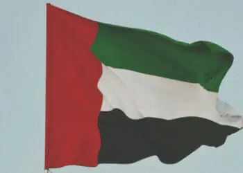 uae flag