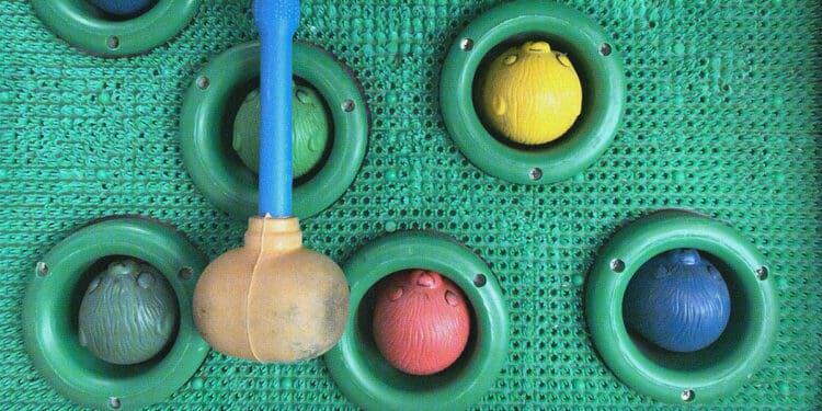 whack a mole seen from above