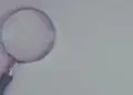 corporate investigation magnifying glass