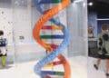 double helix of lego