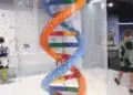 double helix of lego