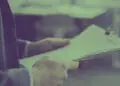 papers clipped together policy
