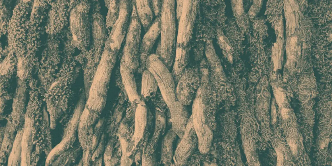 tree roots overlapping