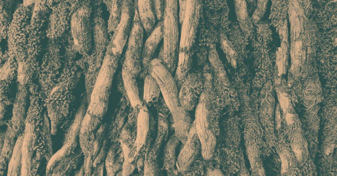 tree roots overlapping
