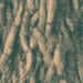 tree roots overlapping