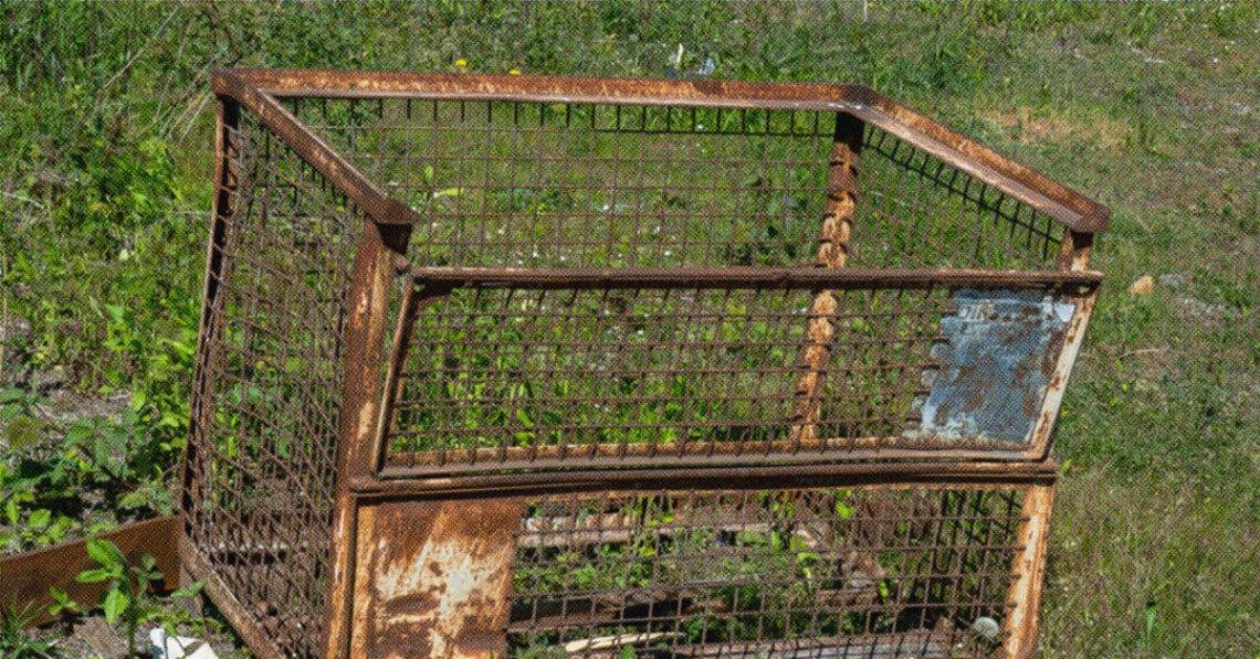 rusty cage
