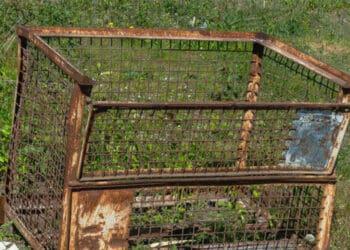 rusty cage