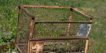 rusty cage