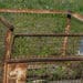 rusty cage