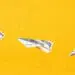 paper airplanes made out of currency